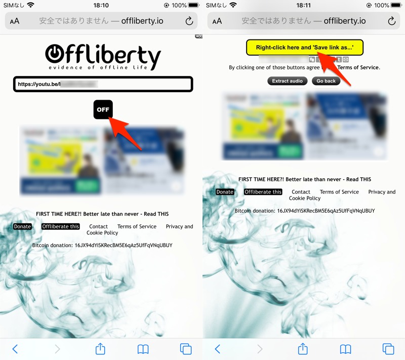 サイトOfflibertyからiPhoneでYouTubeをダウンロードする手順1