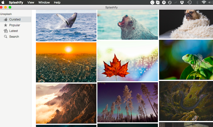 Splashify 厳選された美しい画像一覧を検索 壁紙を選んでmacのデスクトップ背景に設定できる
