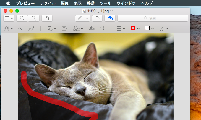 Macosプレビューで画像の背景を透過する方法 Macで写真の不要部分を