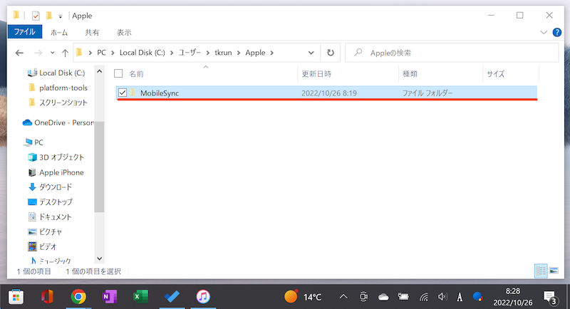 Microsoft Storeから入手したiTunesのフォルダの説明3